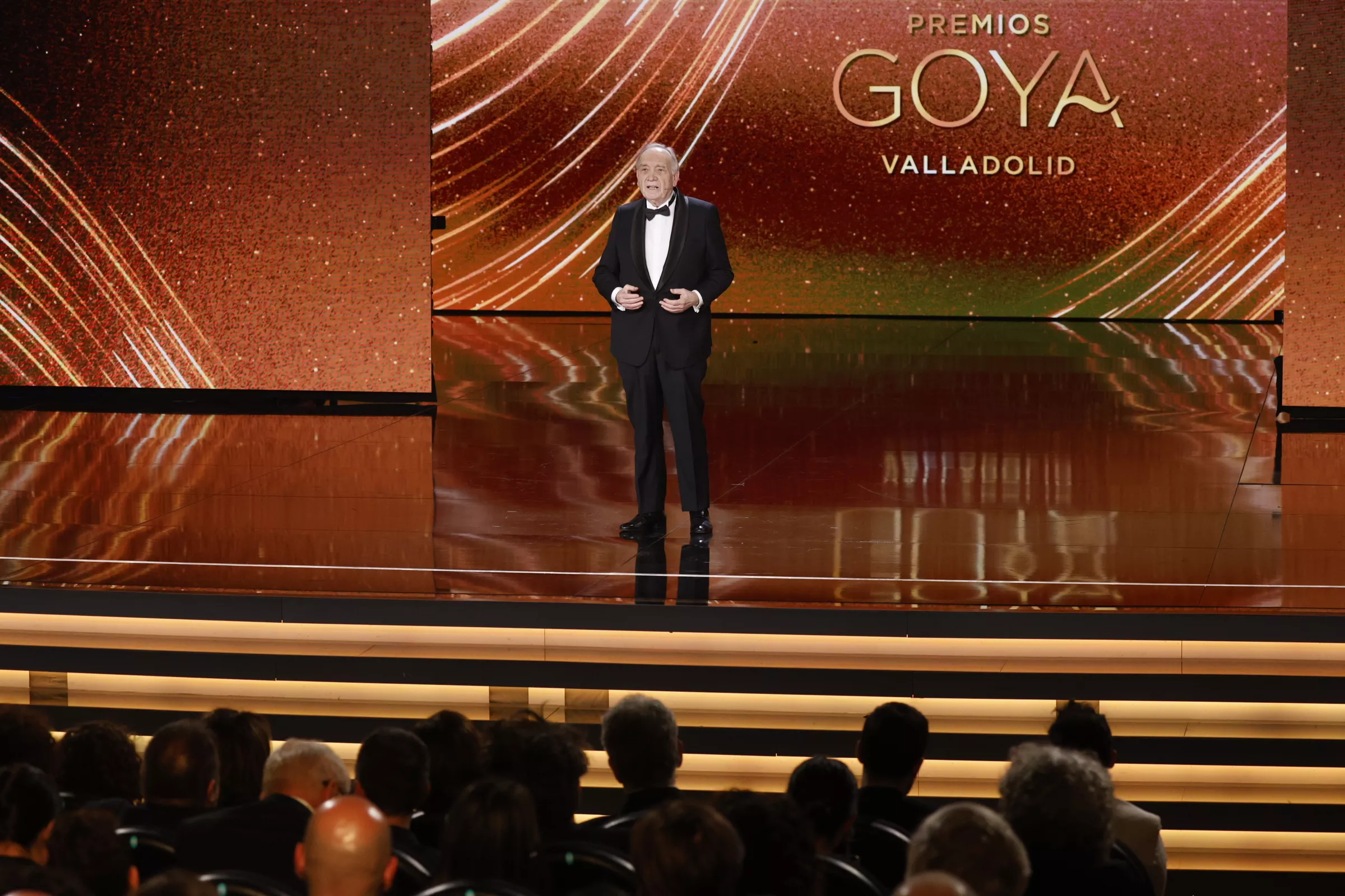 Presidente de la Academia en los Premios Goya