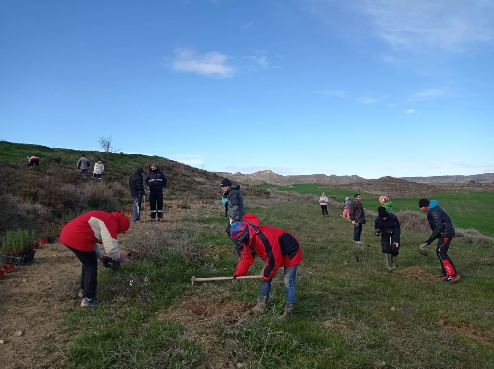 Plantación de árboles en la sierra de Robres.