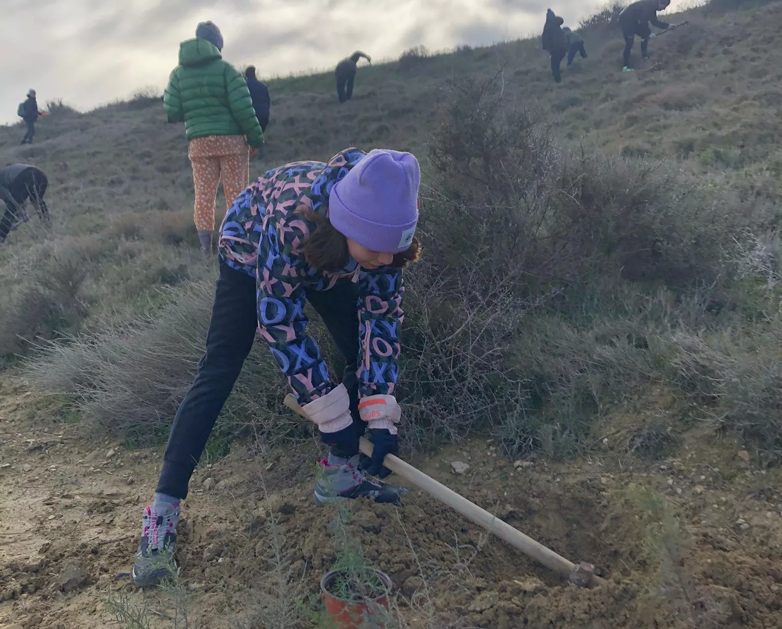 Plantación de árboles en la sierra de Robres.