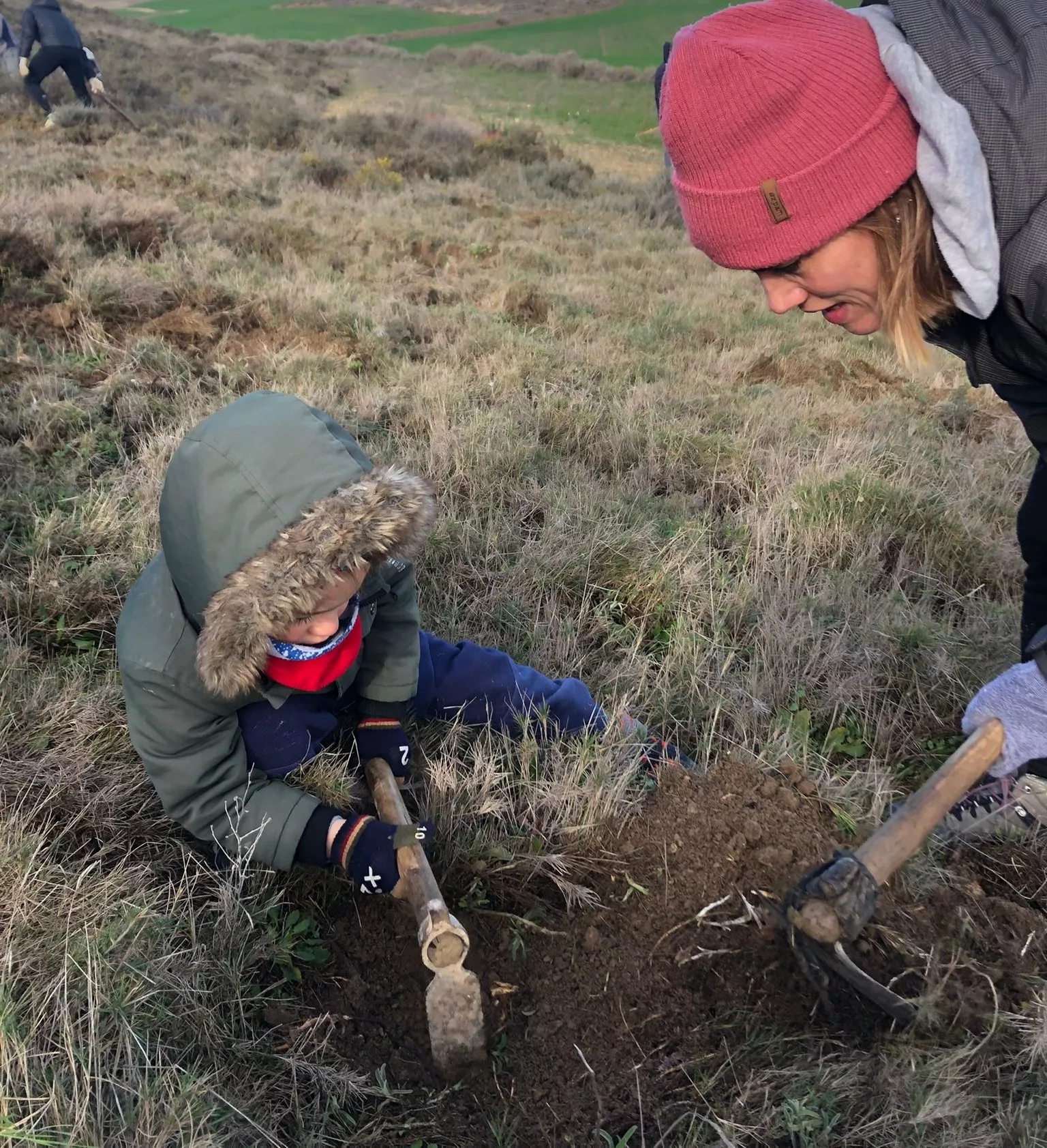 Plantación de árboles en la sierra de Robres.