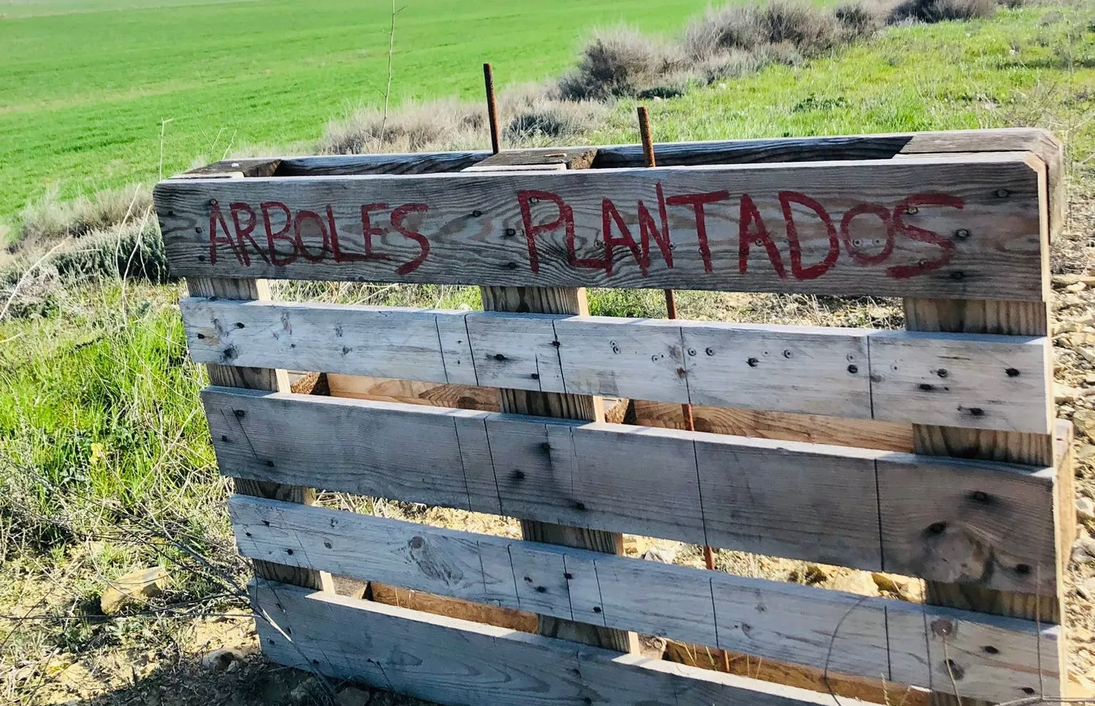 Plantación de árboles en la sierra de Robres.