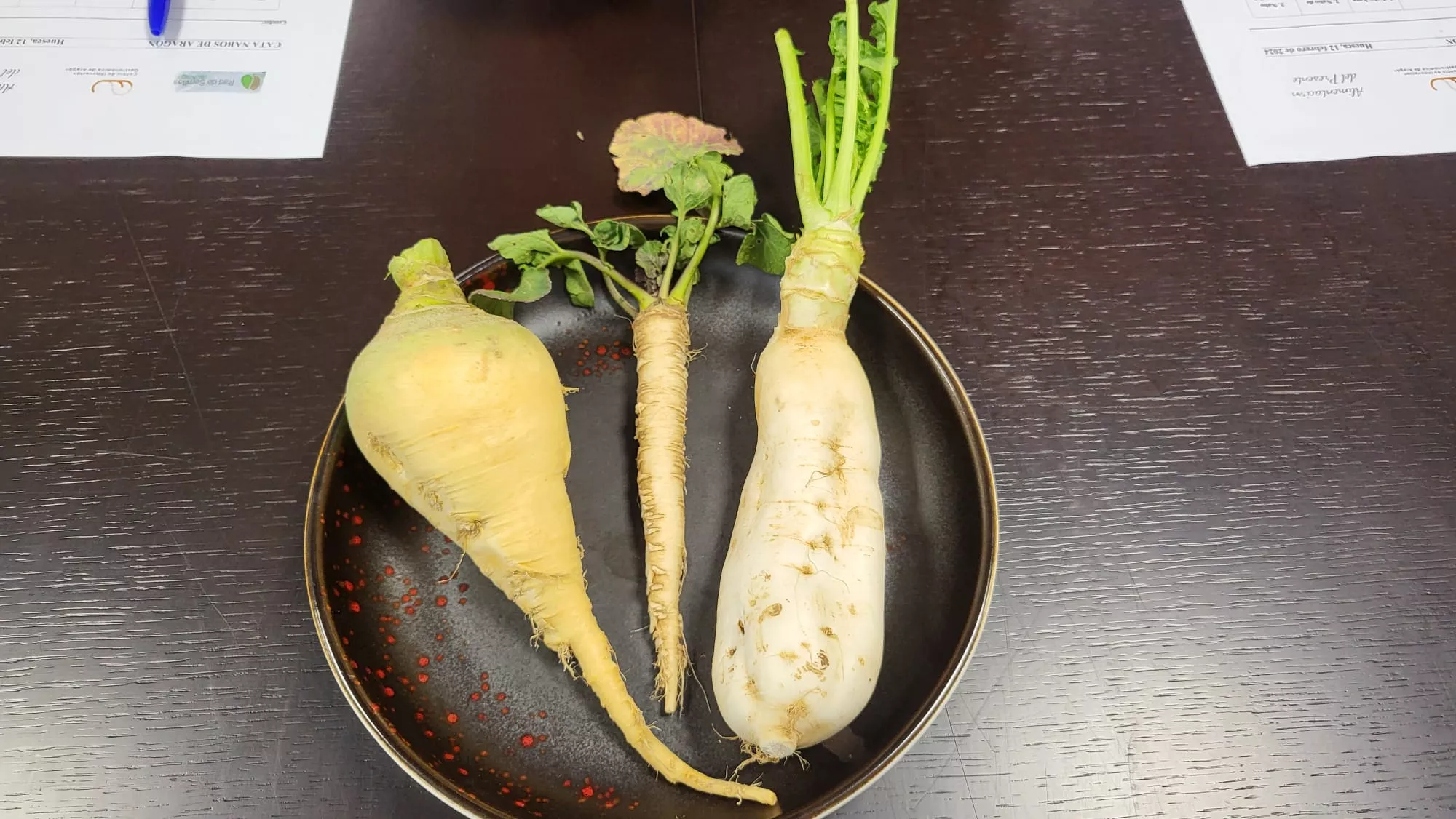 Bib Gourmand en torno al nabo con Ismael Ferrer