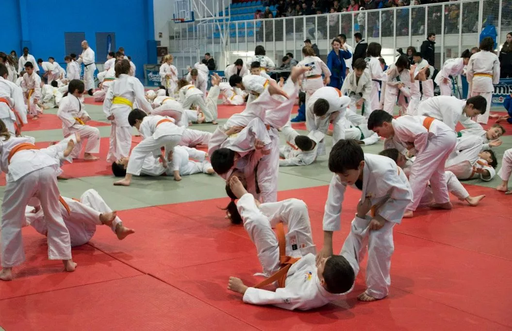 Provincial alevín y benjamín