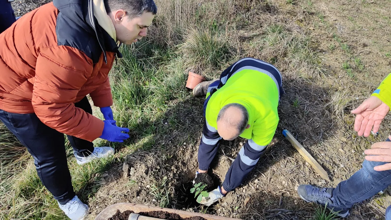 Plantación de árboles en la Vía verde del Canfranero. Foto Comunicación Serfey 