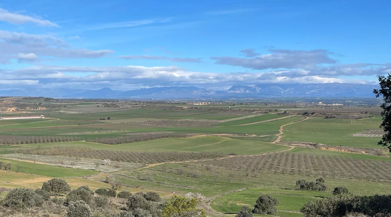 Ruta por la comarca de los Monegros.