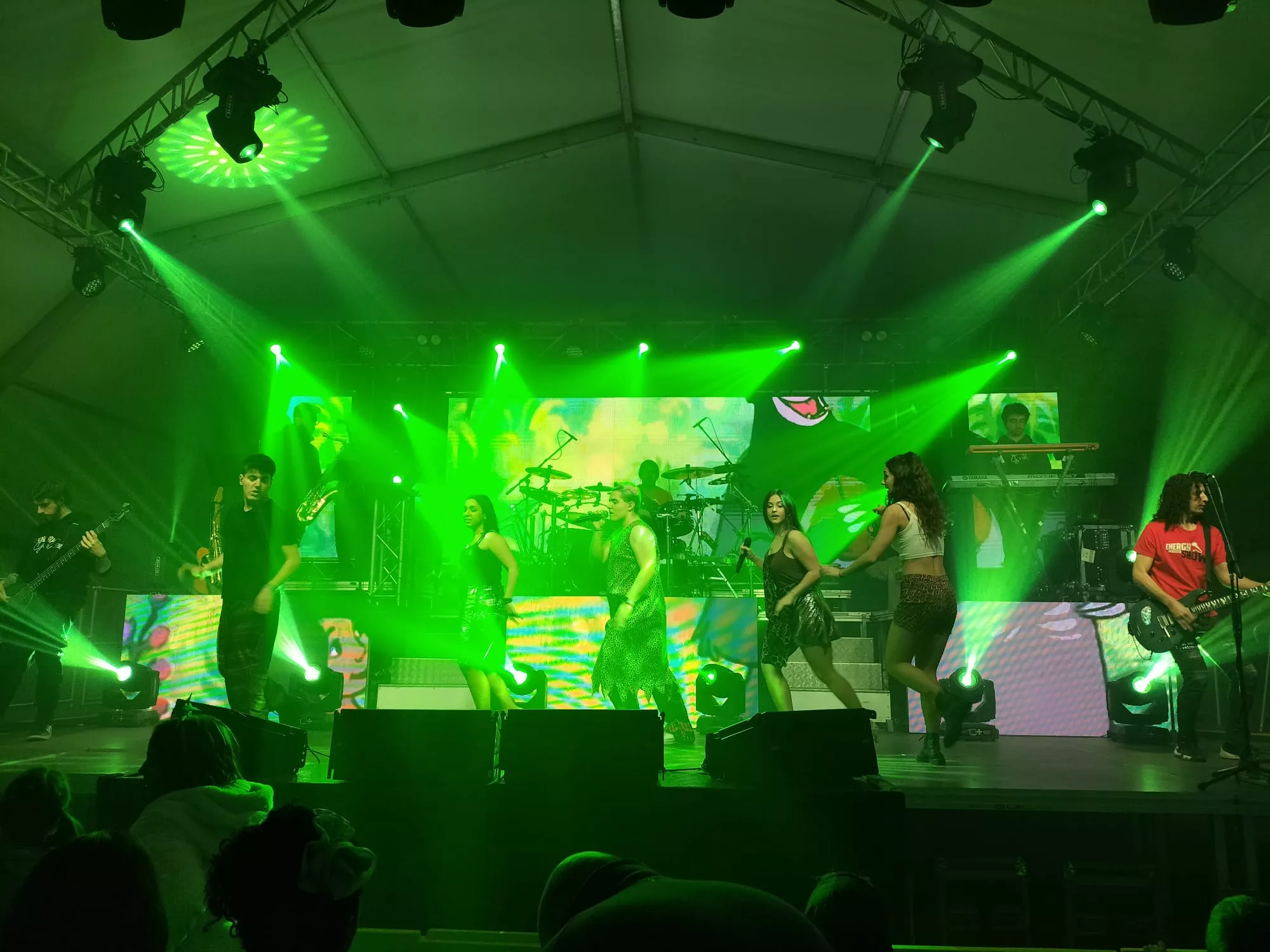 Carnaval de Ayerbe 