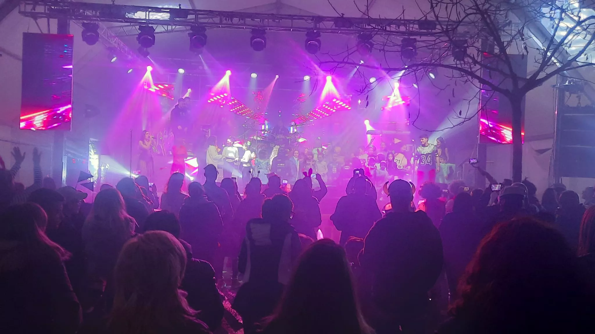 Carnaval de Ayerbe 