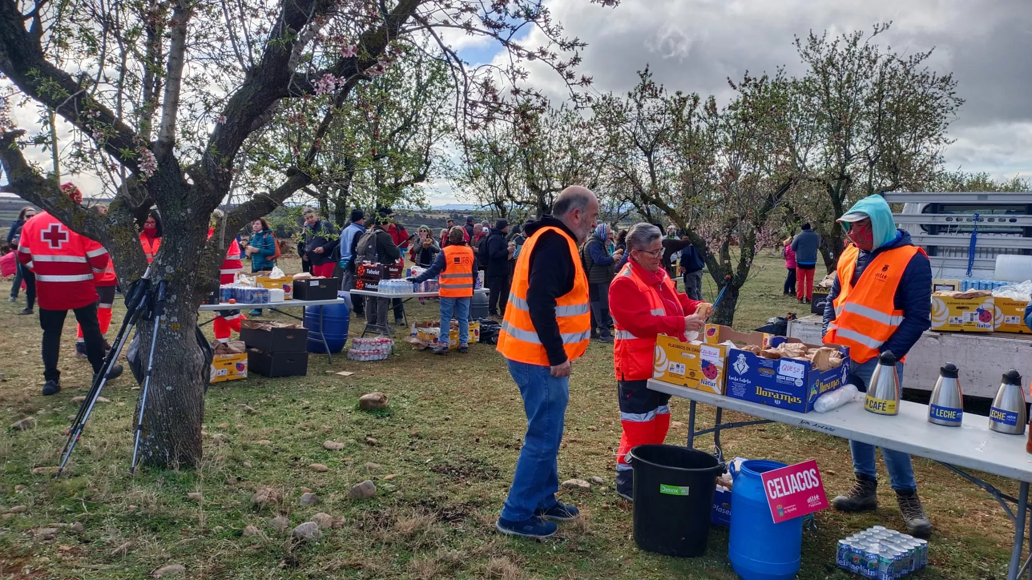 VII Caminata en la Flor del Almendro de Ayerbe.