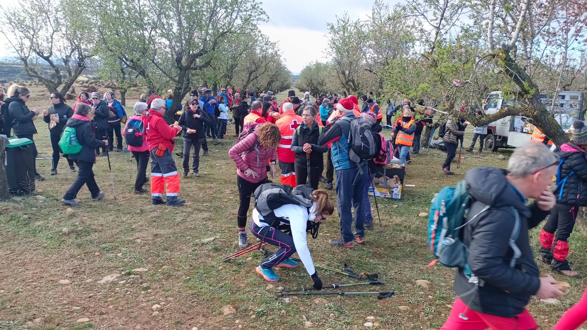 VII Caminata en la Flor del Almendro de Ayerbe.