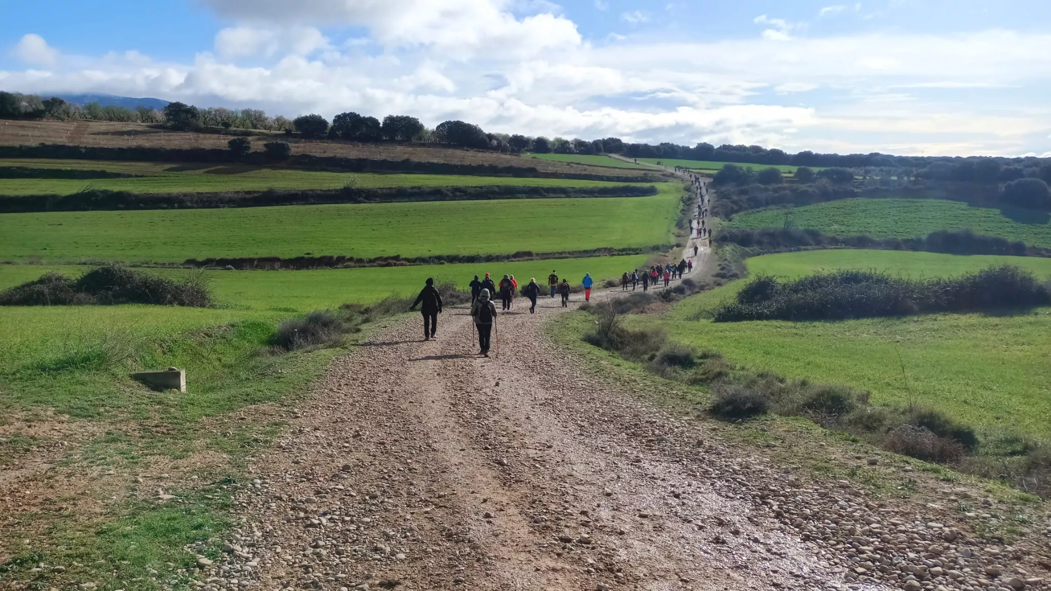 VII Caminata en la Flor del Almendro de Ayerbe.
