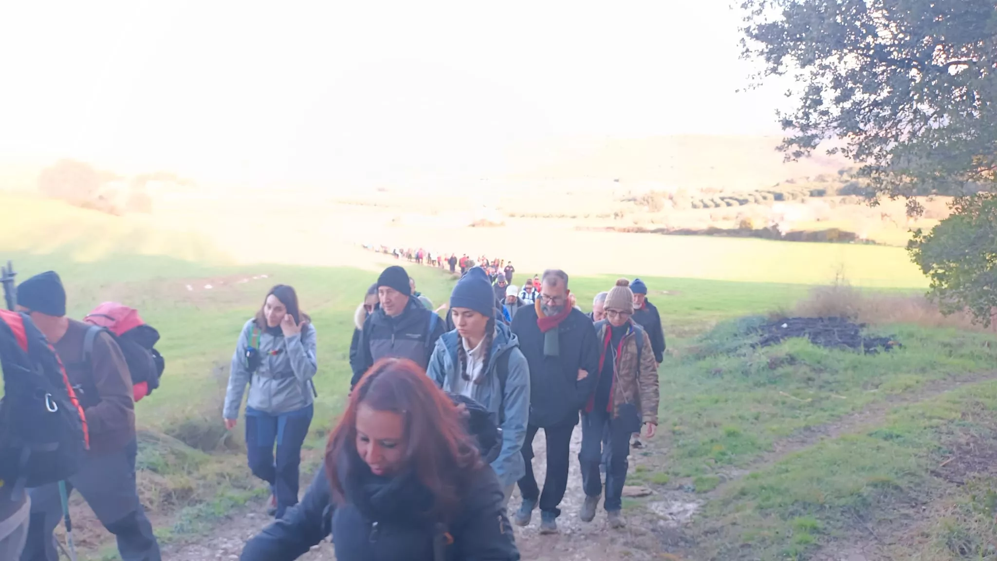 VII Caminata en la Flor del Almendro de Ayerbe.