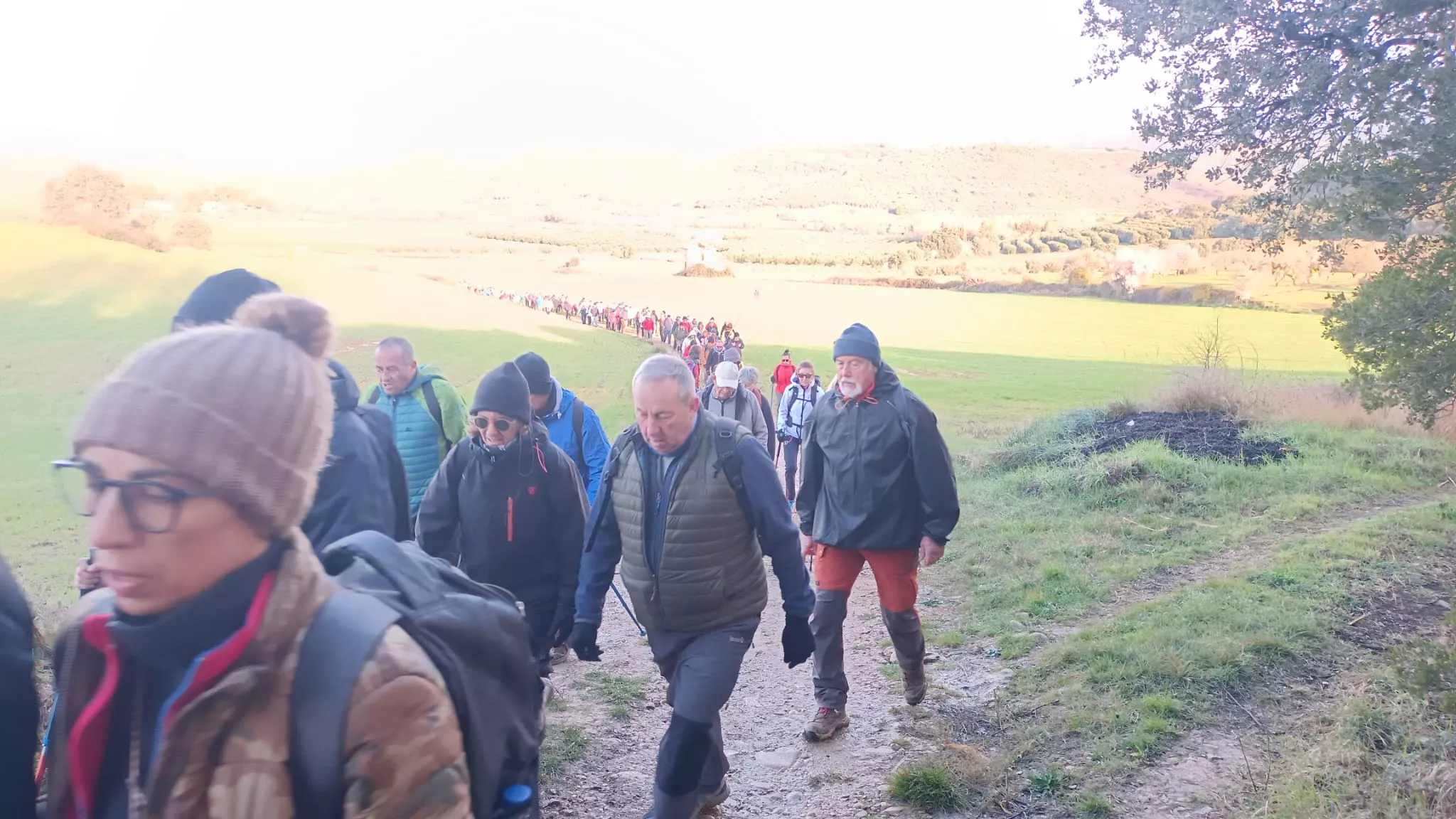 VII Caminata en la Flor del Almendro de Ayerbe.