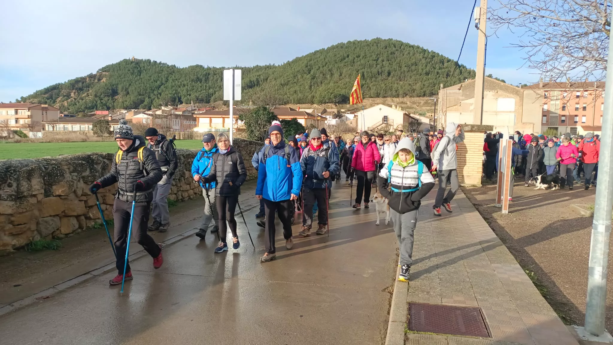 VII Caminata en la Flor del Almendro de Ayerbe. 