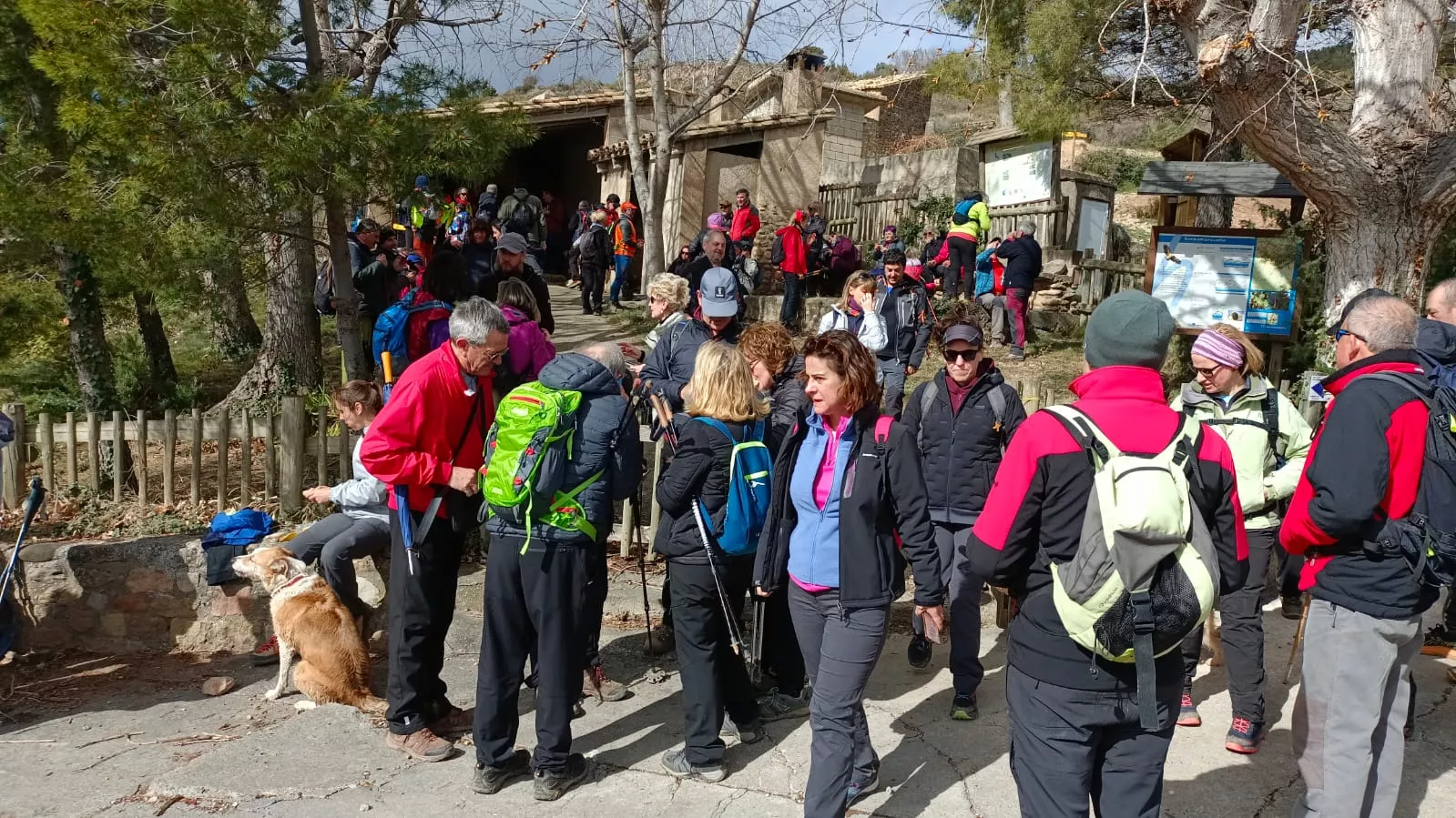 VII Caminata en la Flor del Almendro de Ayerbe. 
