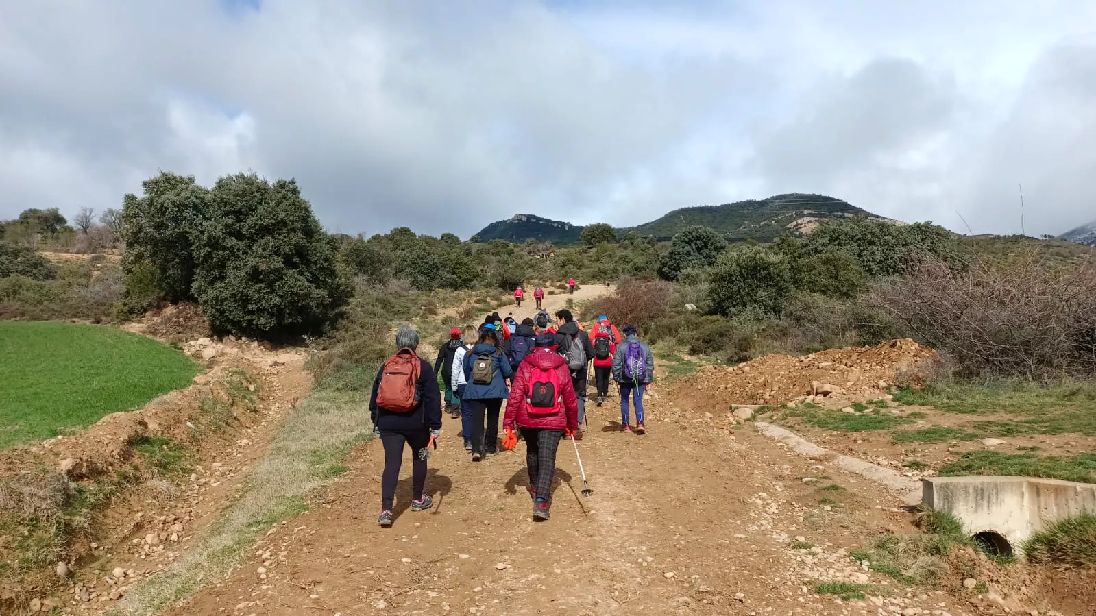 VII Caminata en la Flor del Almendro de Ayerbe. 