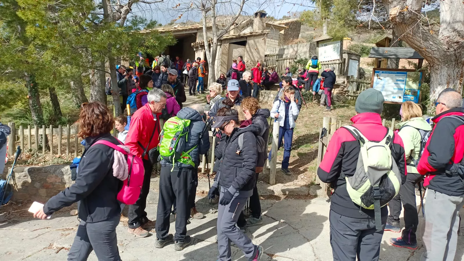 VII Caminata en la Flor del Almendro de Ayerbe. 