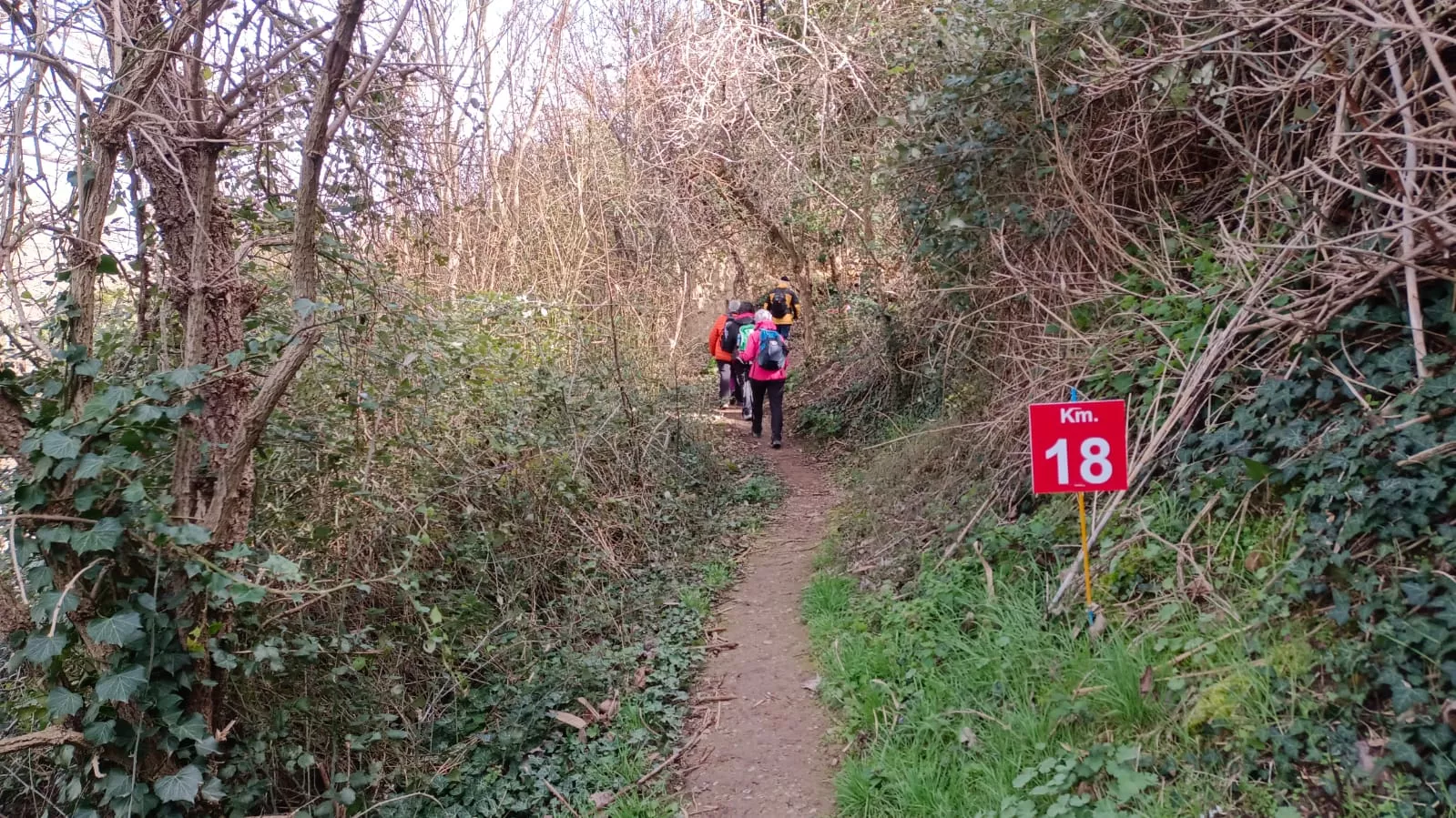 VII Caminata en la Flor del Almendro de Ayerbe. 