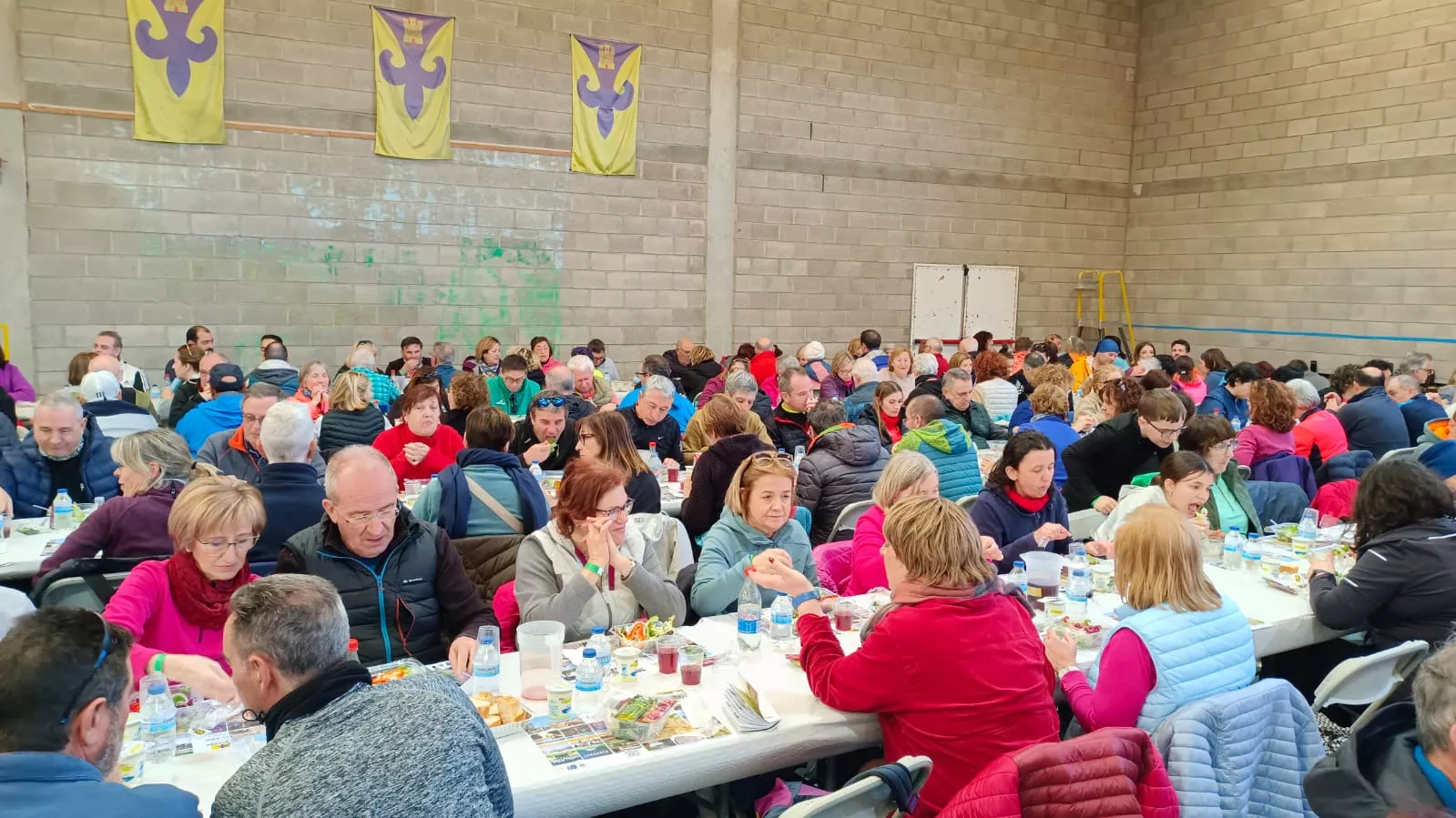 VII Caminata en la Flor del Almendro de Ayerbe. 