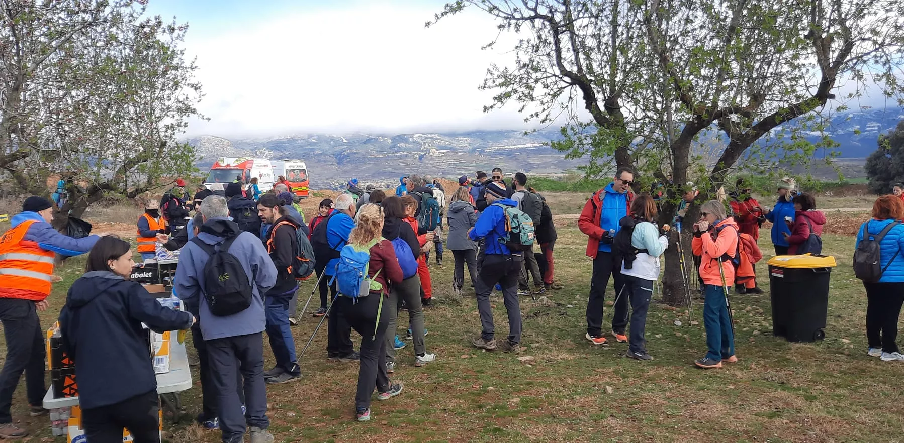 VII Caminata en la Flor del Almendro de Ayerbe. 