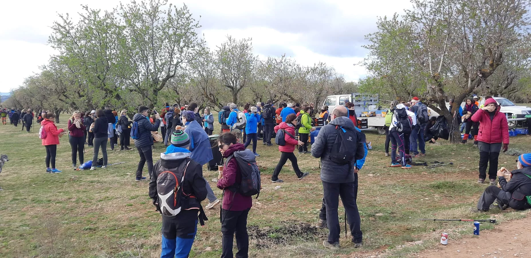 VII Caminata en la Flor del Almendro de Ayerbe. 