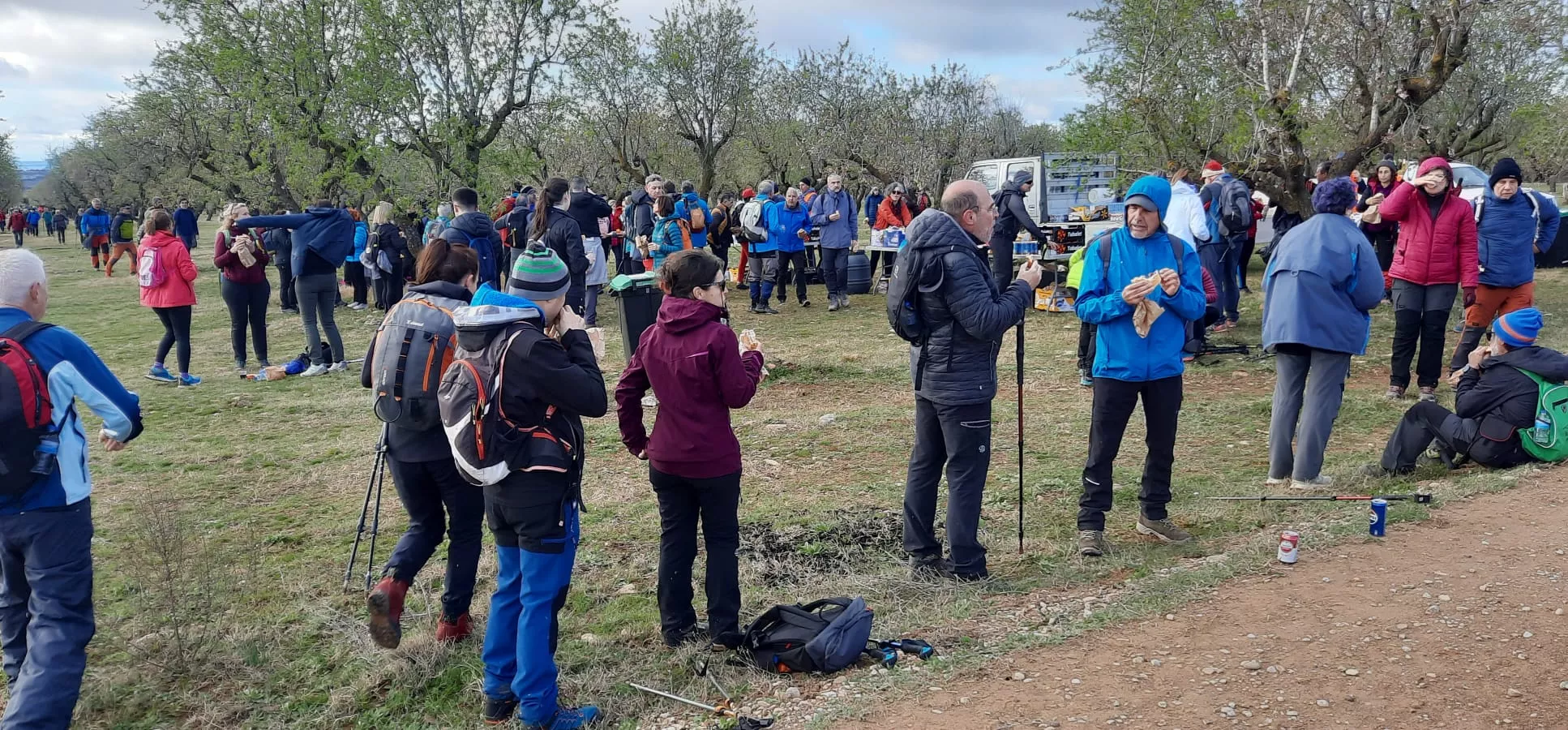 VII Caminata en la Flor del Almendro de Ayerbe. 