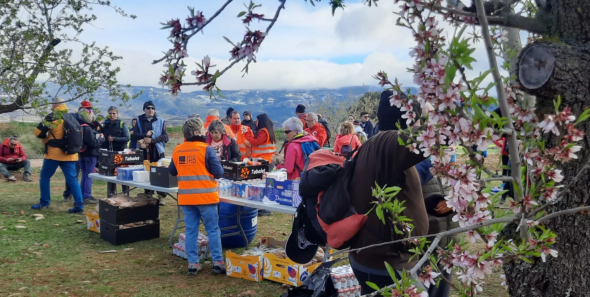 VII Caminata en la Flor del Almendro de Ayerbe. 