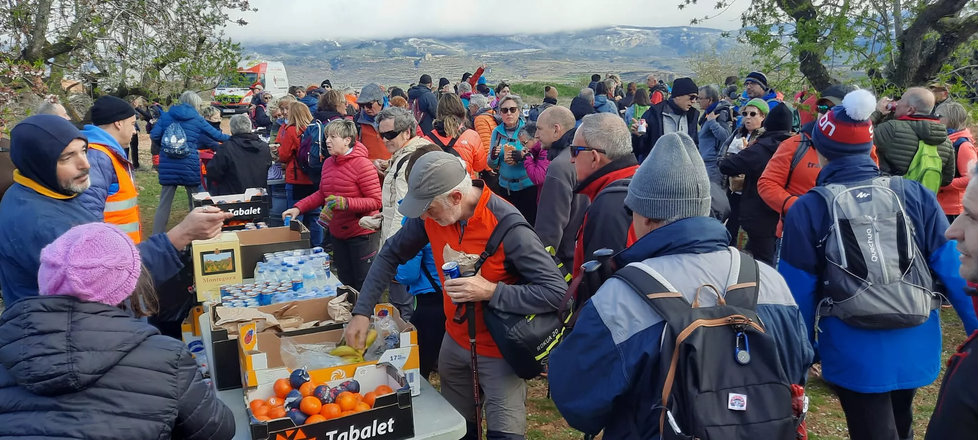 VII Caminata en la Flor del Almendro de Ayerbe. 
