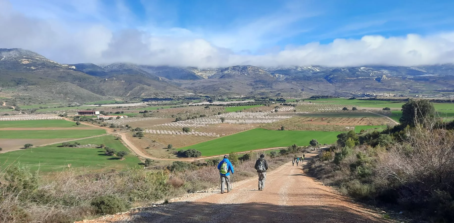 VII Caminata en la Flor del Almendro de Ayerbe. 