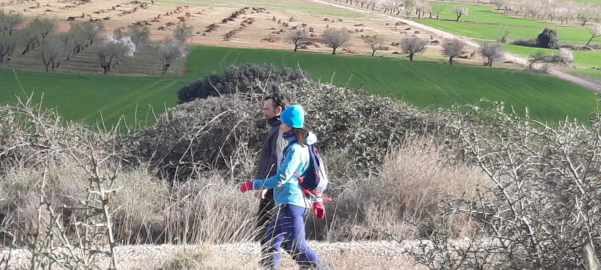 VII Caminata en la Flor del Almendro de Ayerbe. 