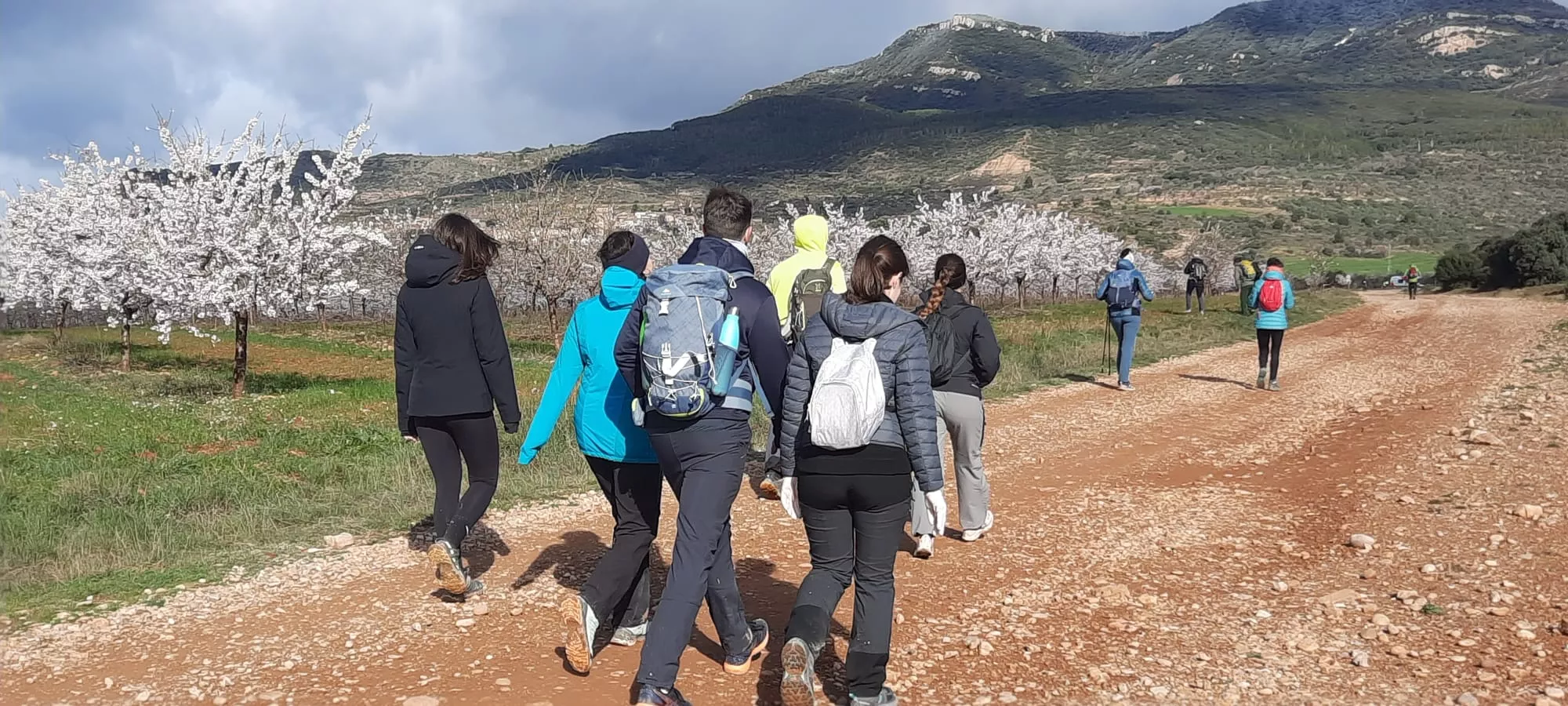 VII Caminata en la Flor del Almendro de Ayerbe. 
