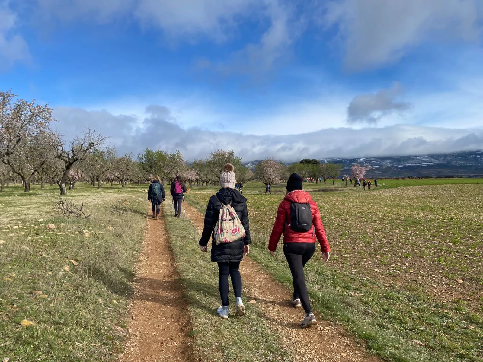 VII Caminata en la Flor del Almendro de Ayerbe. 