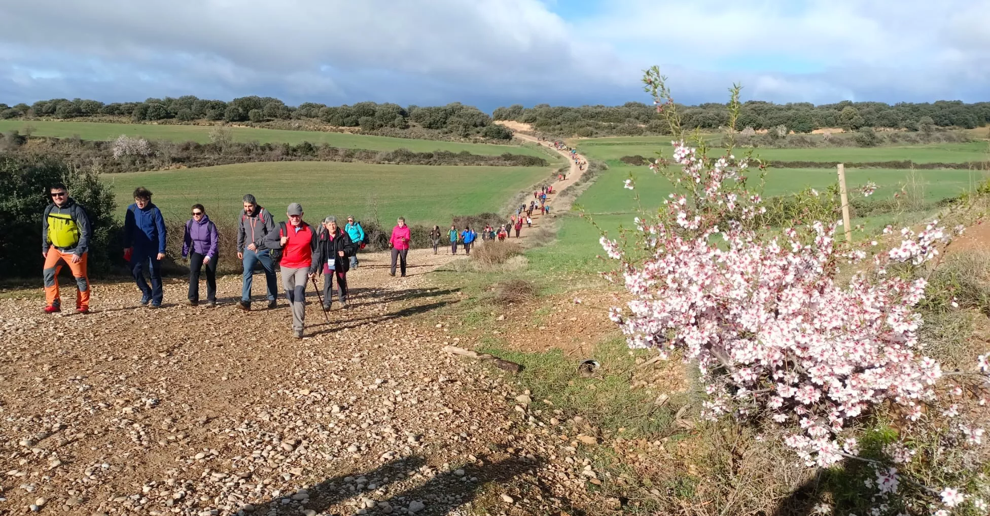 Participantes en uno de los recorridos de la Caminata de la Flor en el Almendro.