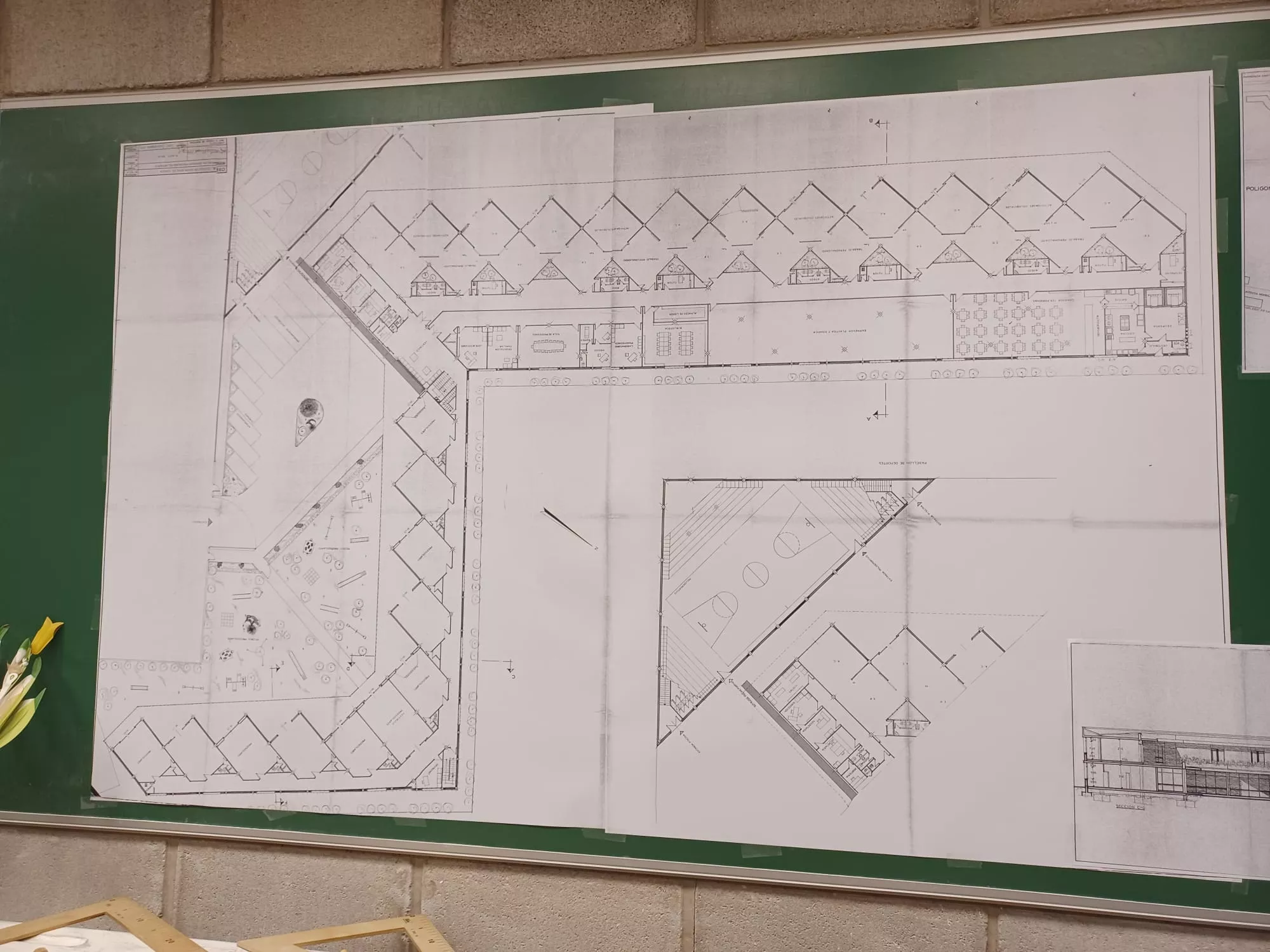 Celebración del 50 aniversario del colegio Santa Rosa de Huesca.