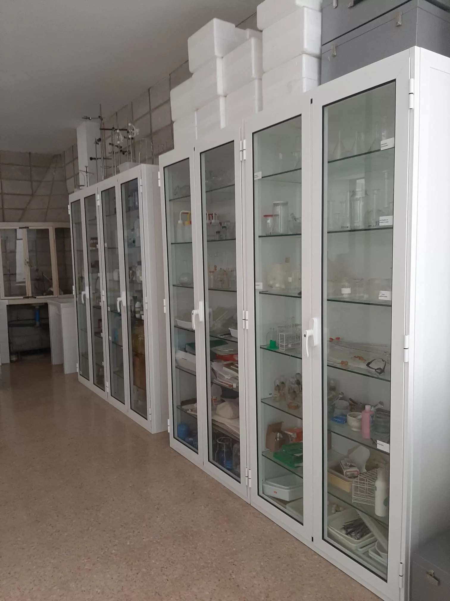 Celebración del 50 aniversario del colegio Santa Rosa de Huesca.