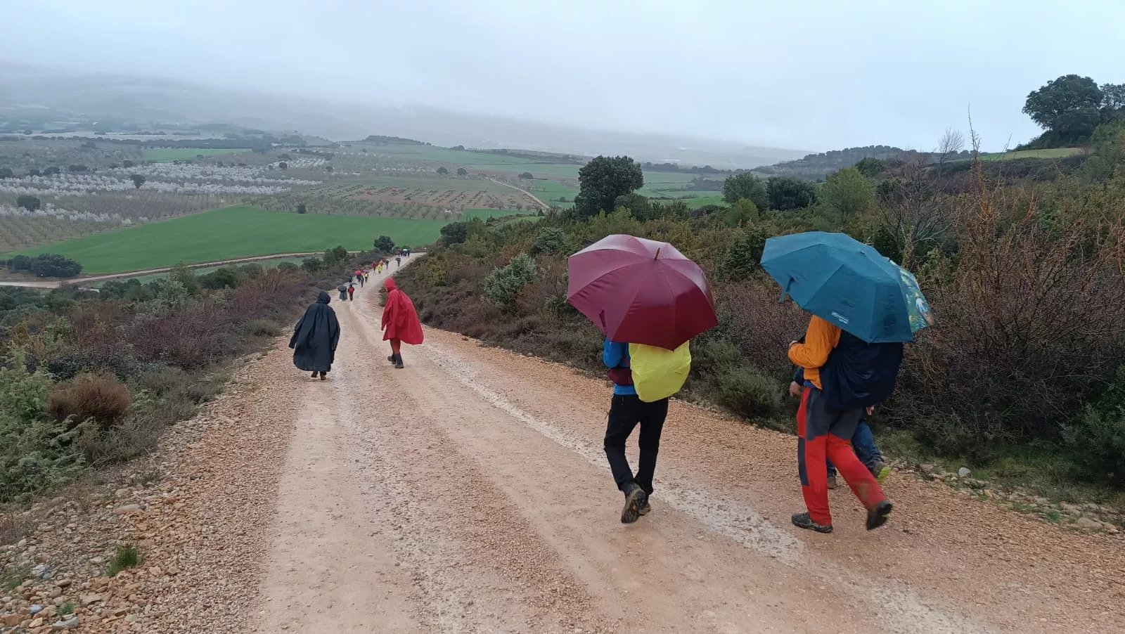Más de 600 participantes se han animado a realizar las rutas de la Caminata en la Flor del Almendro de Ayerbe.
