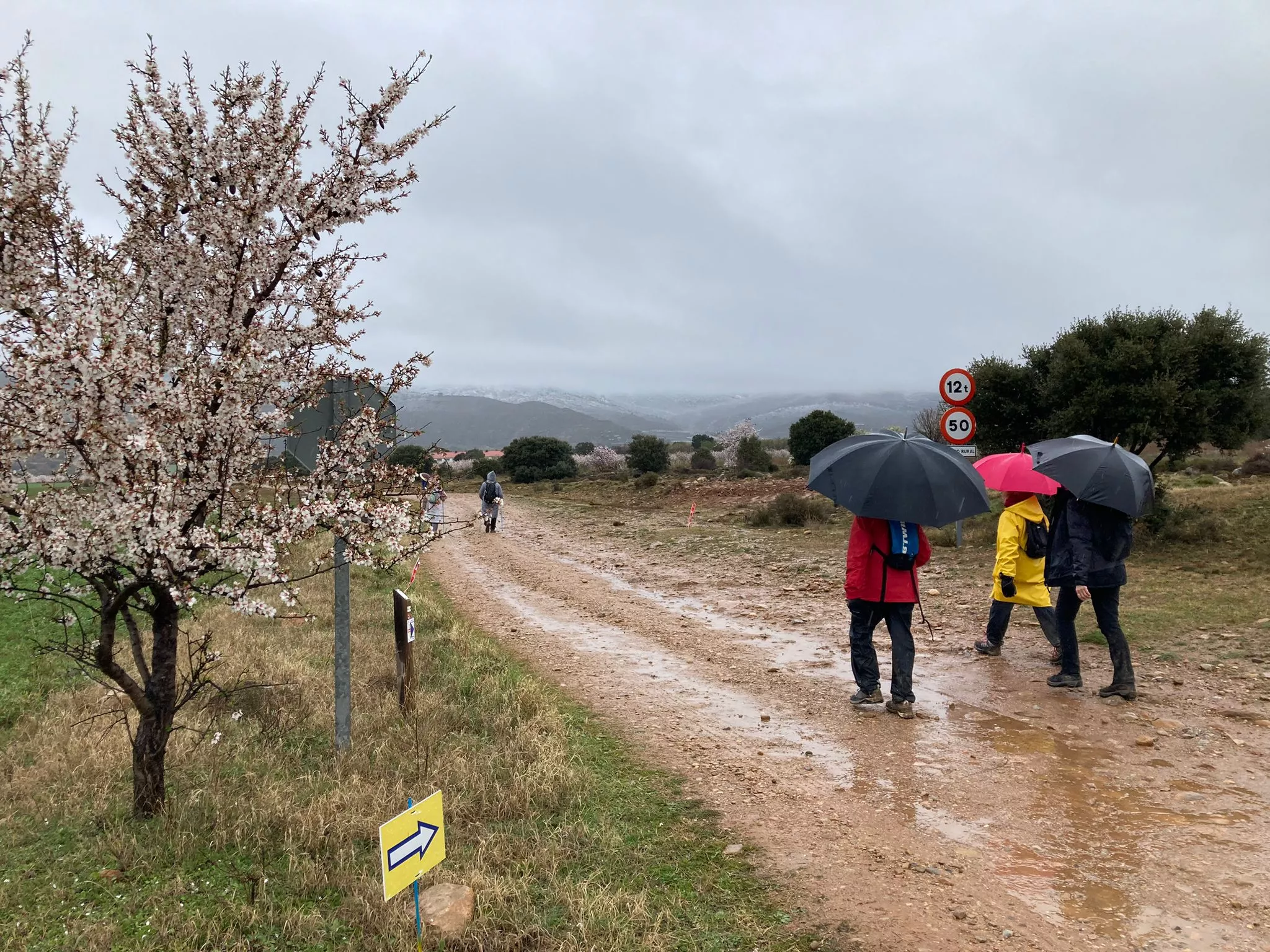 Segunda jornada de la VII Caminata en la Flor del Almendro de Ayerbe.