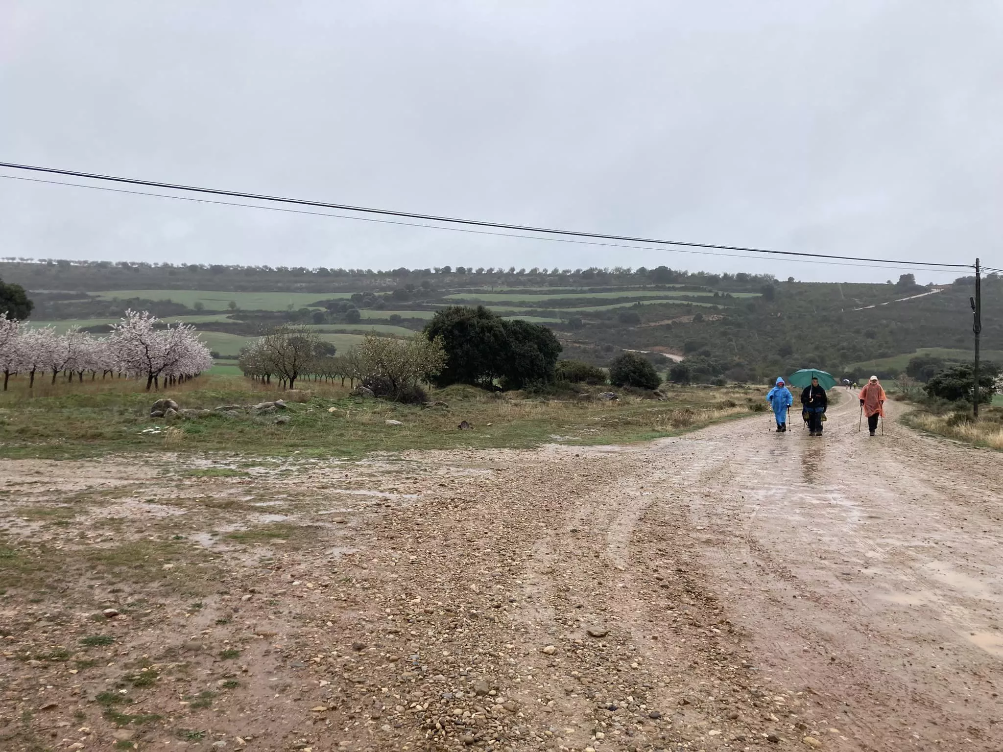 Segunda jornada de la VII Caminata en la Flor del Almendro de Ayerbe.