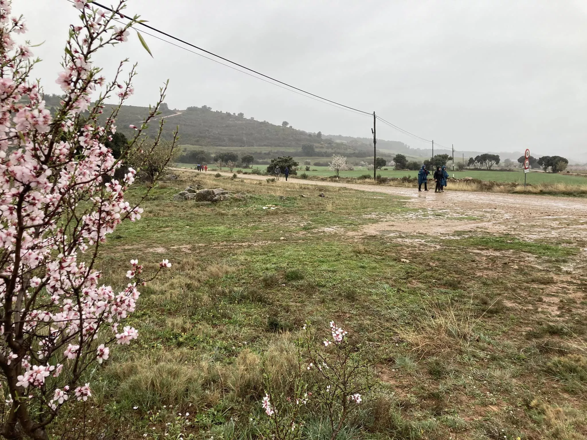 Segunda jornada de la VII Caminata en la Flor del Almendro de Ayerbe.