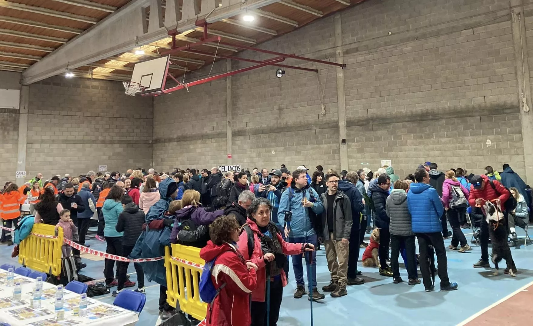 Segunda jornada de la VII Caminata en la Flor del Almendro de Ayerbe.