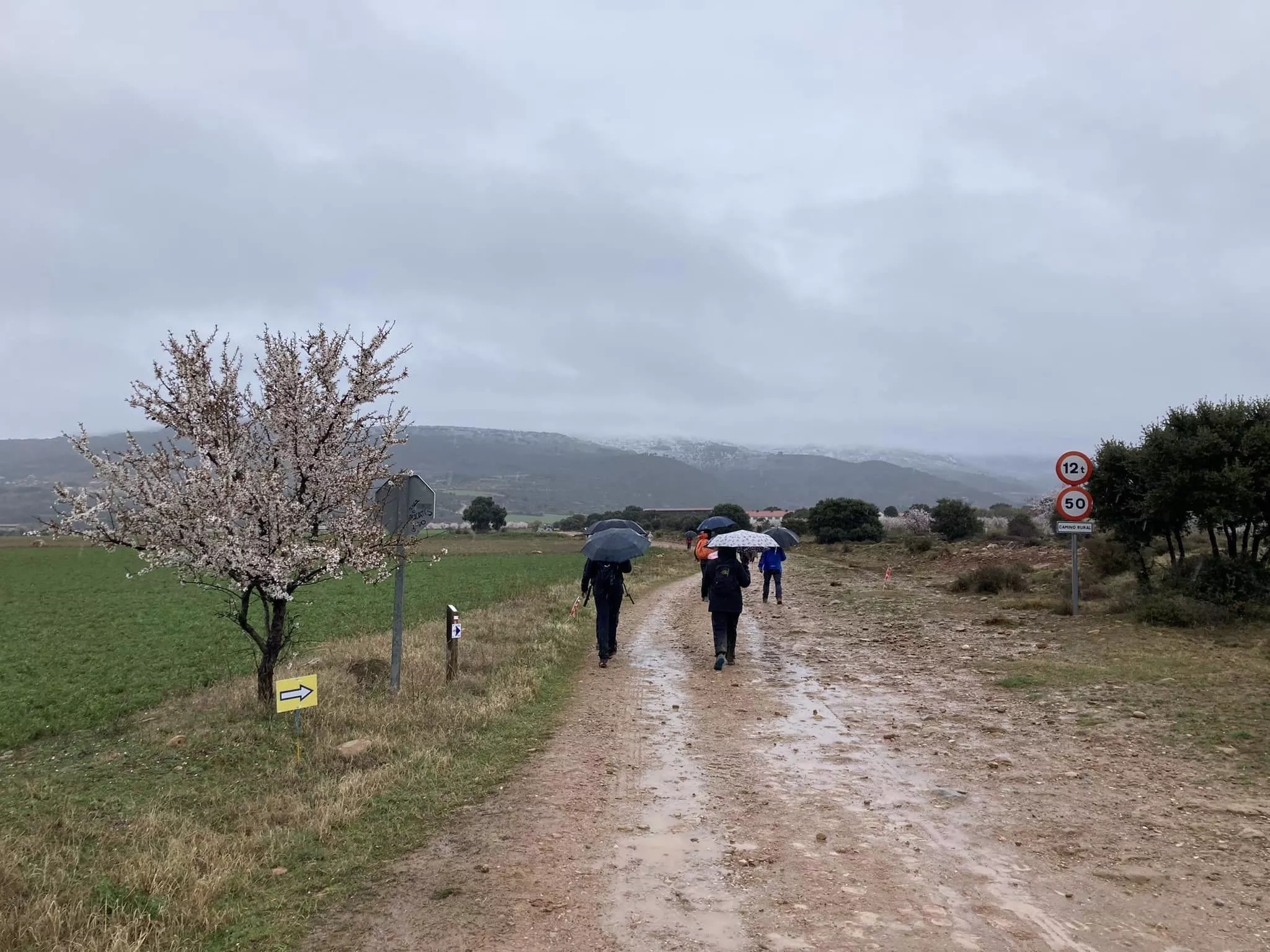Segunda jornada de la VII Caminata en la Flor del Almendro de Ayerbe.