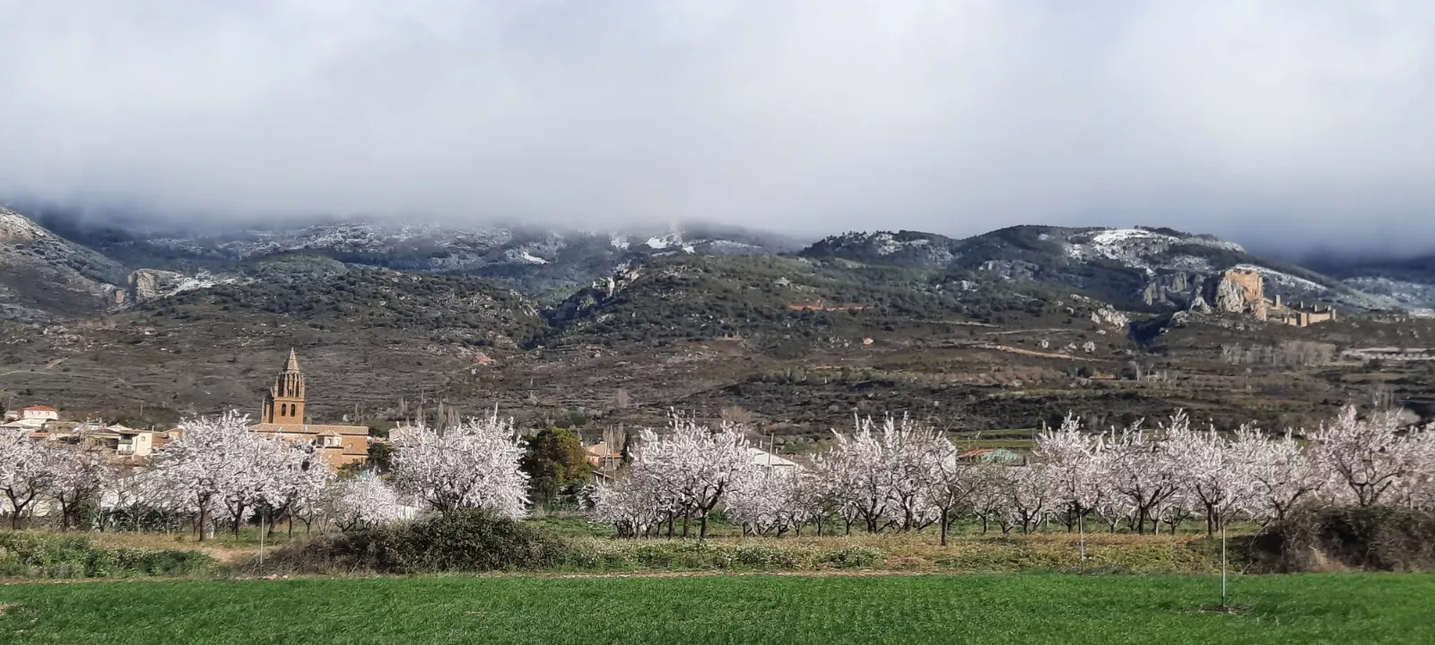 Segunda jornada de la VII Caminata en la Flor del Almendro de Ayerbe.
