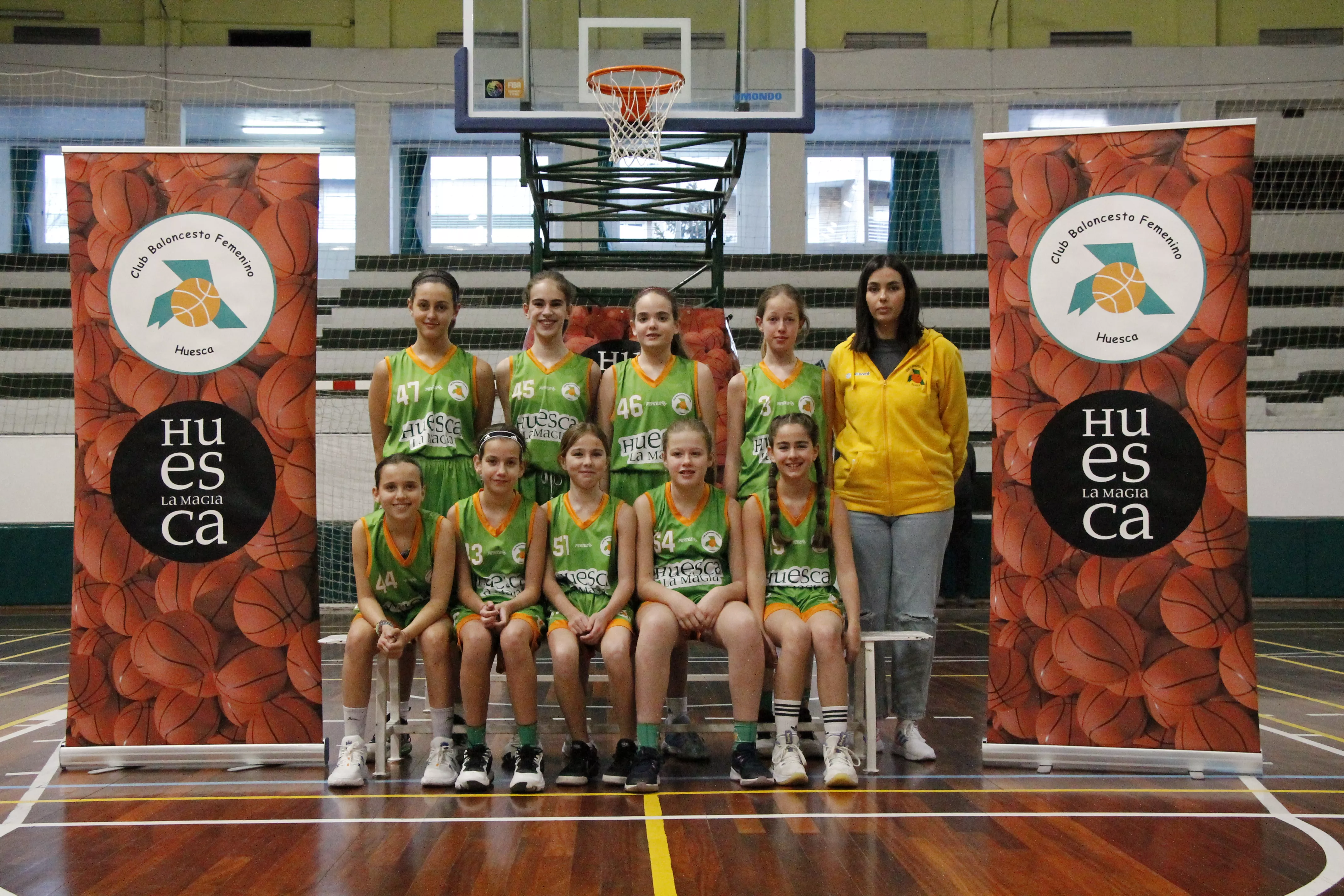 ALEVIN DOMESTICA CBFH LA MAGIA