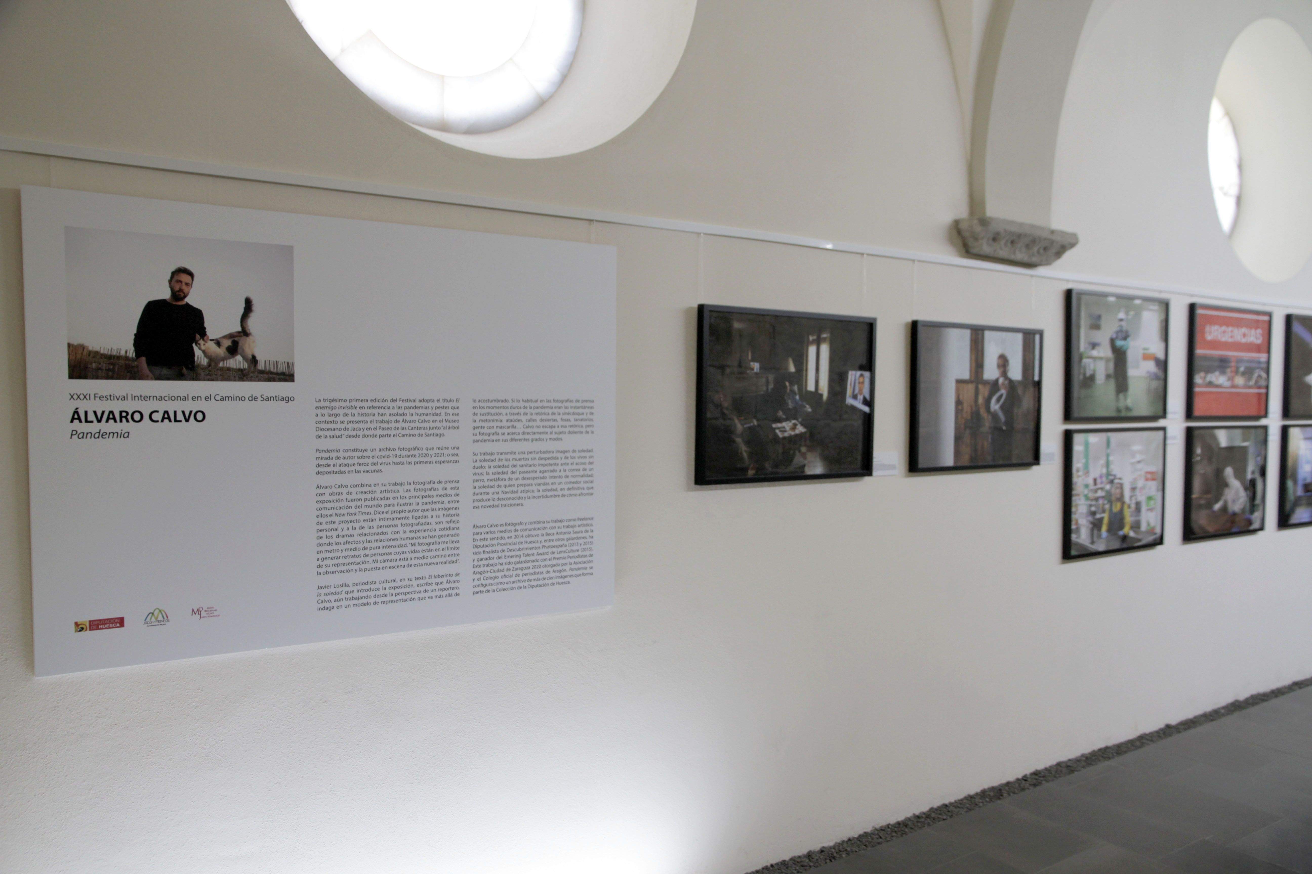 La exposición "Pandemia" de Álvaro Calvo en el Museo Diocesano de Jaca