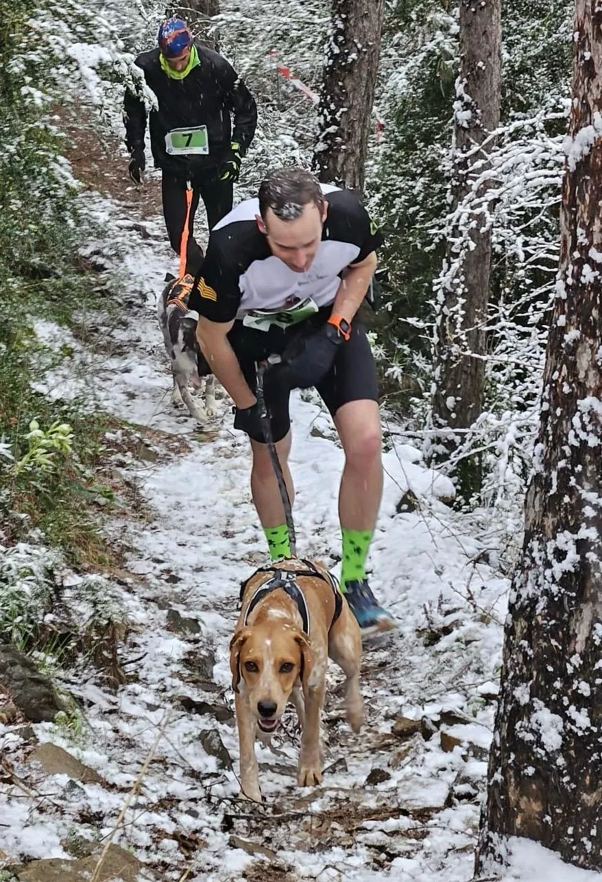 Xtrem Oscanicross de Arguis