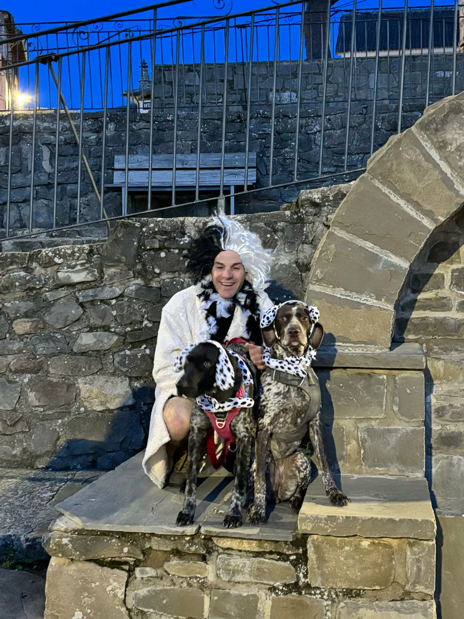 Cruella devil y sus 2 dálmatas, el disfraz más original