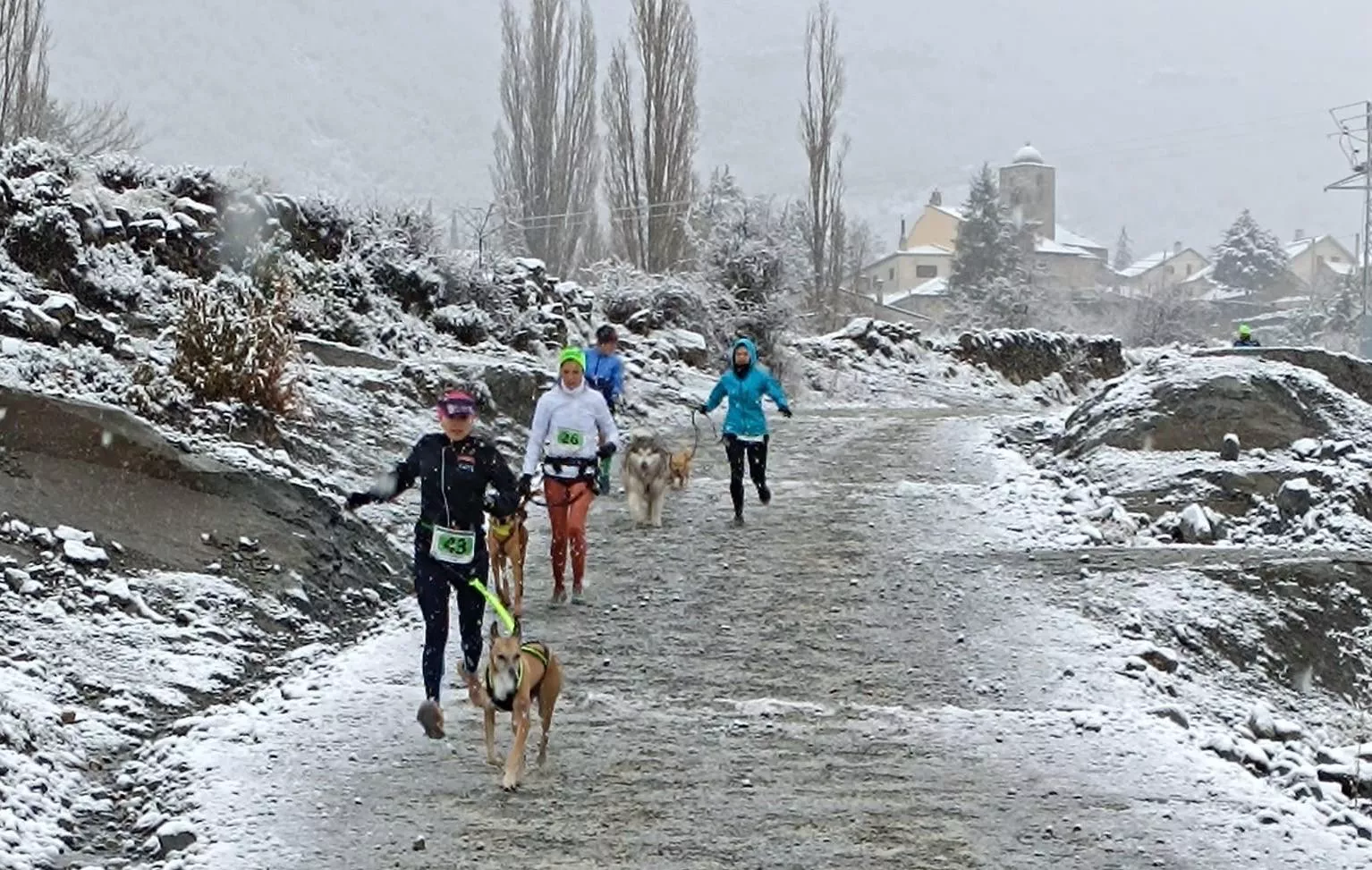 Xtrem Oscanicross de Arguis