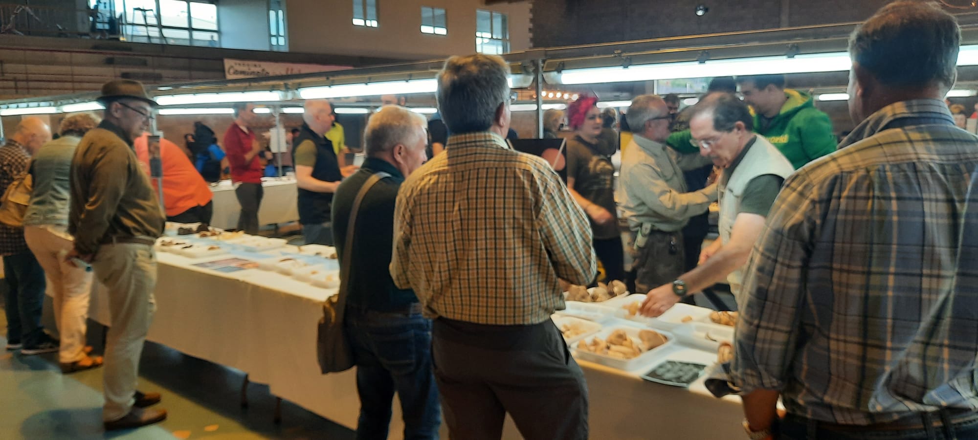 Imágenes de las XXXI Jornadas Micológicas de Ayerbe