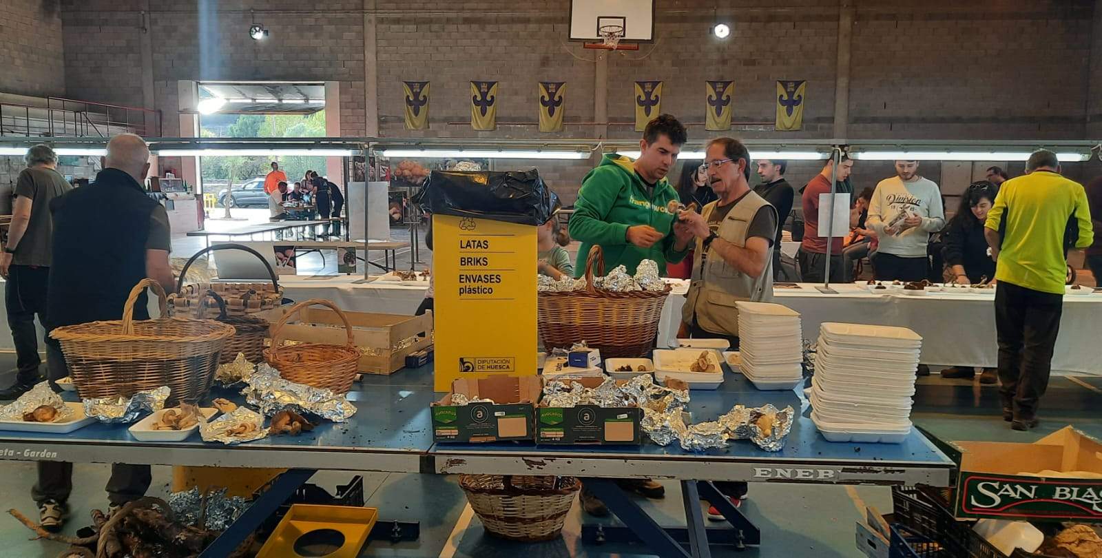 Clasificación de las especies recolectadas para la exposición