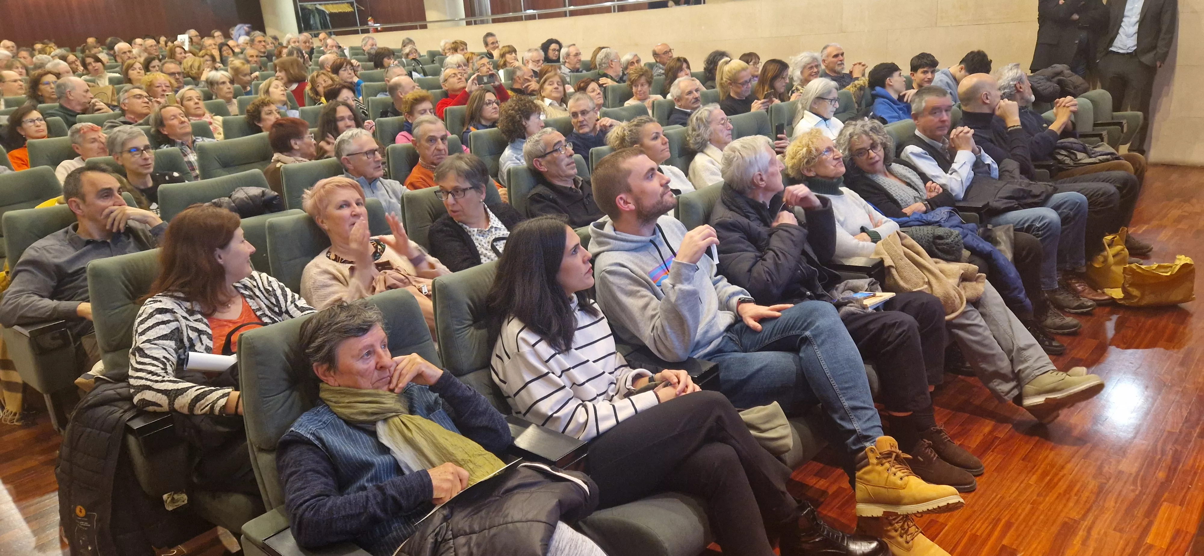 El salón de actos de la DPH, lleno hasta la bandera. Foto Myriam Martínez