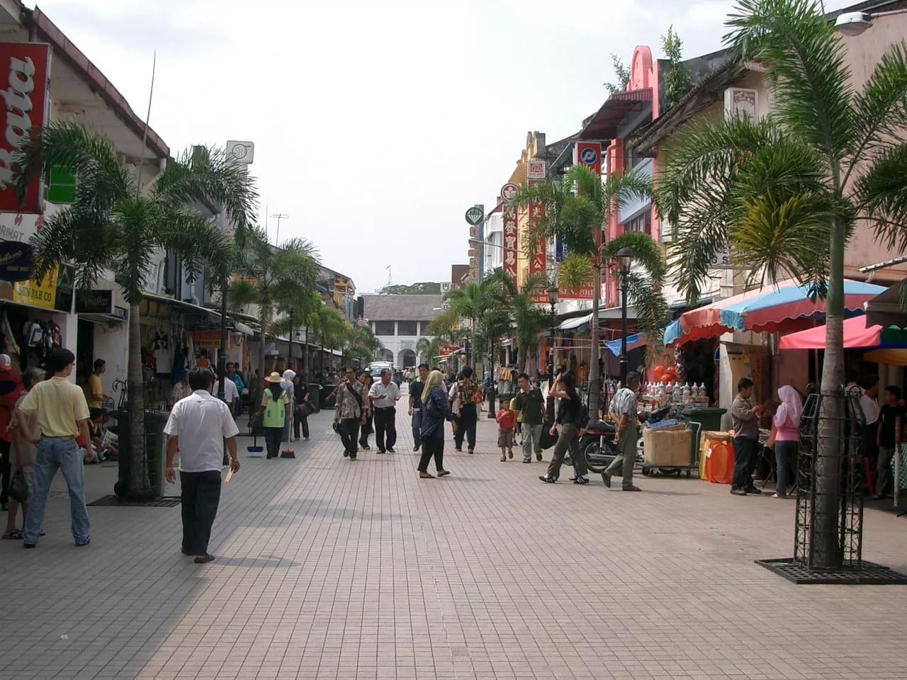 Marco Pascual en Borneo